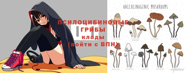 дмт Балахна