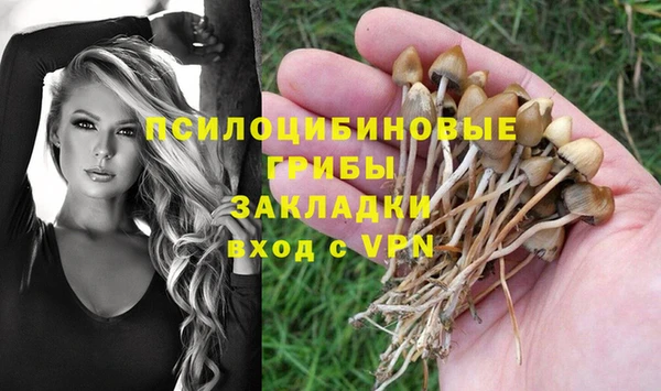 дмт Балахна