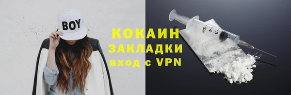 сатива Сосновоборск