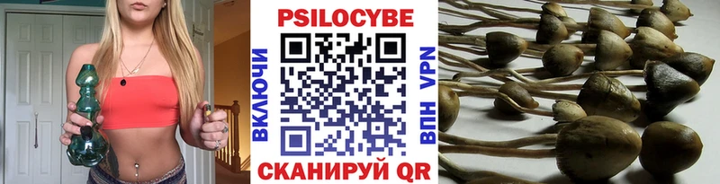 Галлюциногенные грибы ЛСД Николаевск